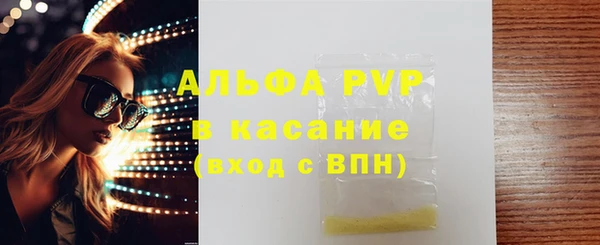 PSILOCYBIN Горно-Алтайск