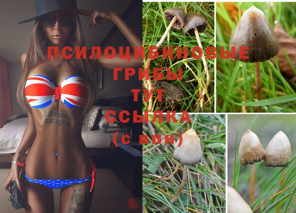 молекула духа Вязники