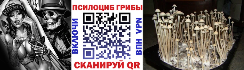 Псилоцибиновые грибы прущие грибы  Купить где  Отрадный 