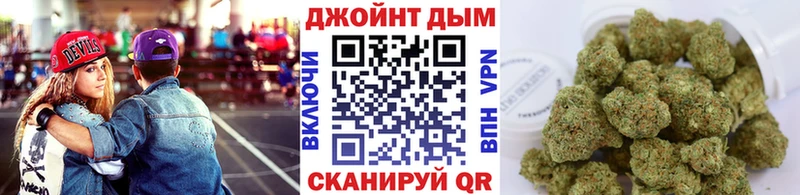 Каннабис сатива  Купить  Отрадный 